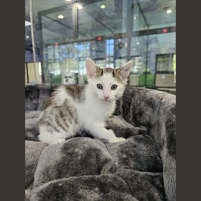 Photo of Marlo