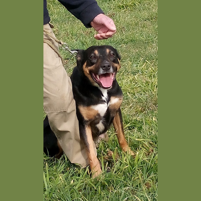 Photo of Duke