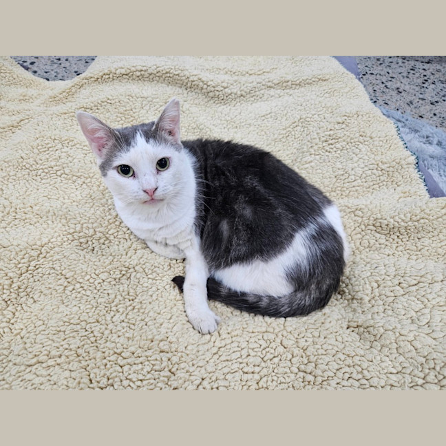 Photo of Mabel