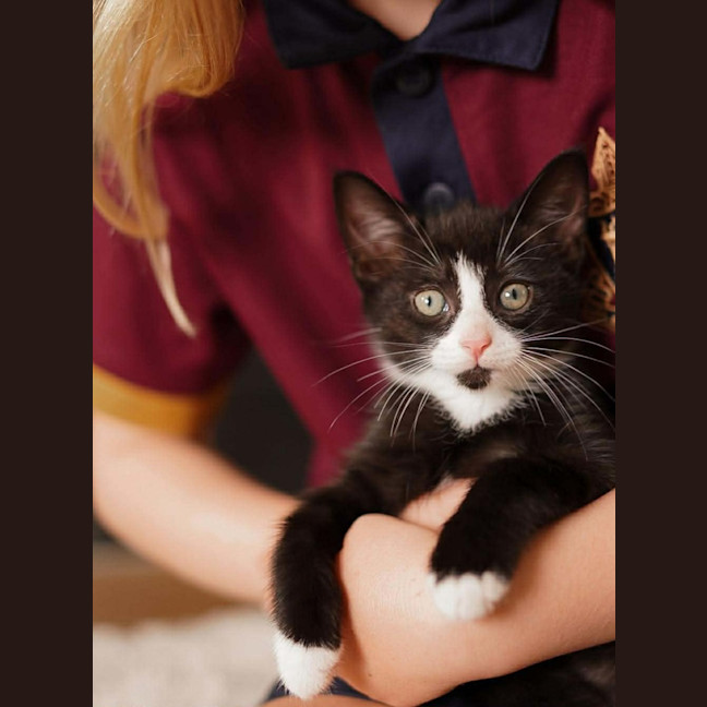 Photo of Tux