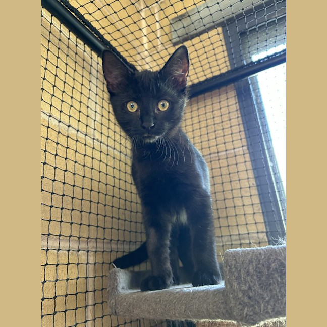 Photo of Charlie