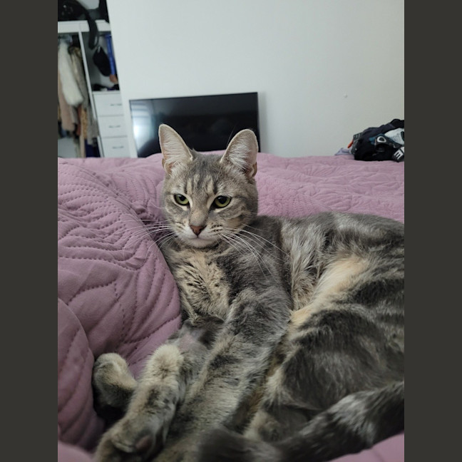 Photo of Nora