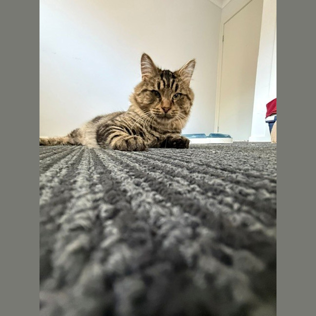 Photo of Henry