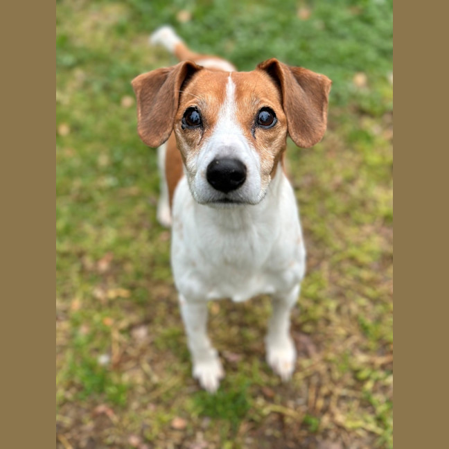 Photo of Mako & Buddy 