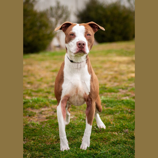 Photo of Sasha 