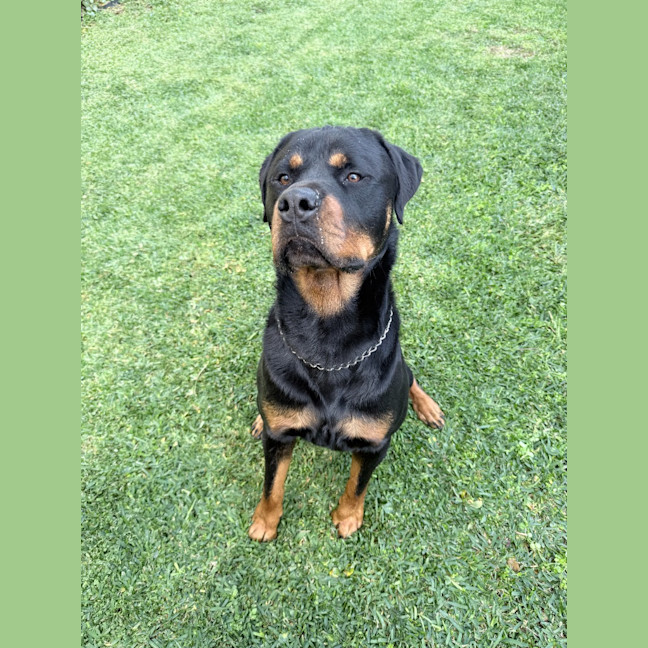 Photo of Murphy