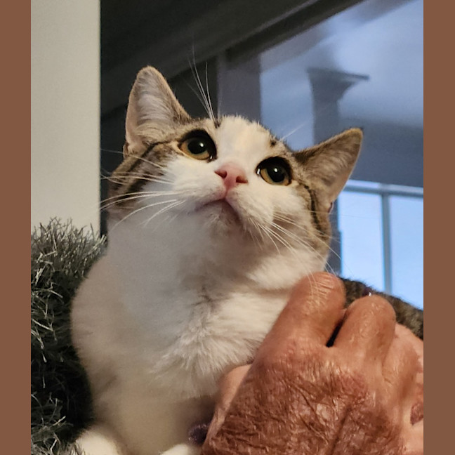 Photo of Tilly