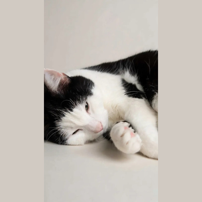 Photo of Winnie