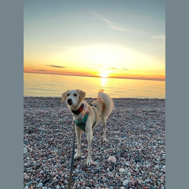 Photo of Rio