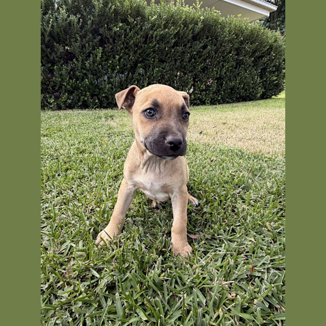 Photo of Lucy