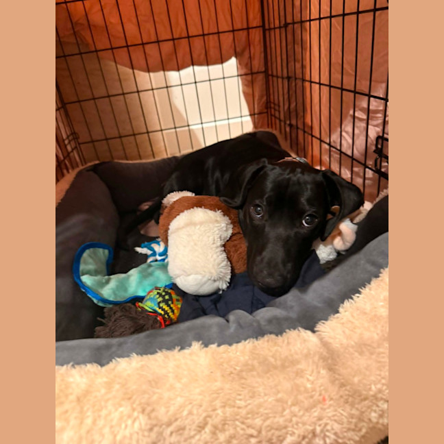 Photo of Maverick 