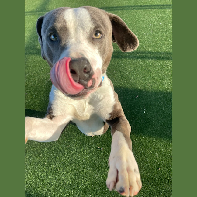 Photo of Jax Imp 1405