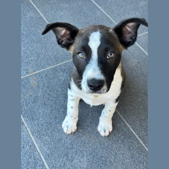 Photo of Cash