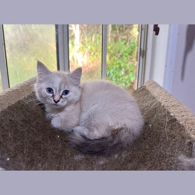 Photo of Roo