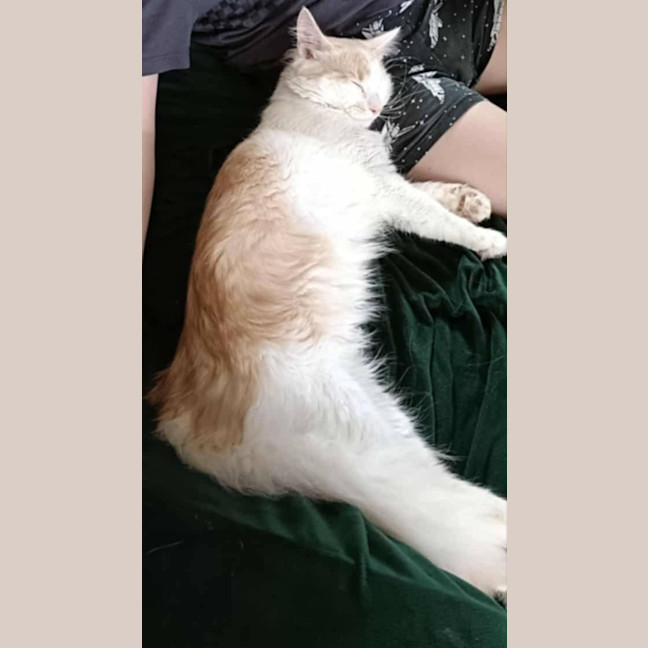 Photo of Dj