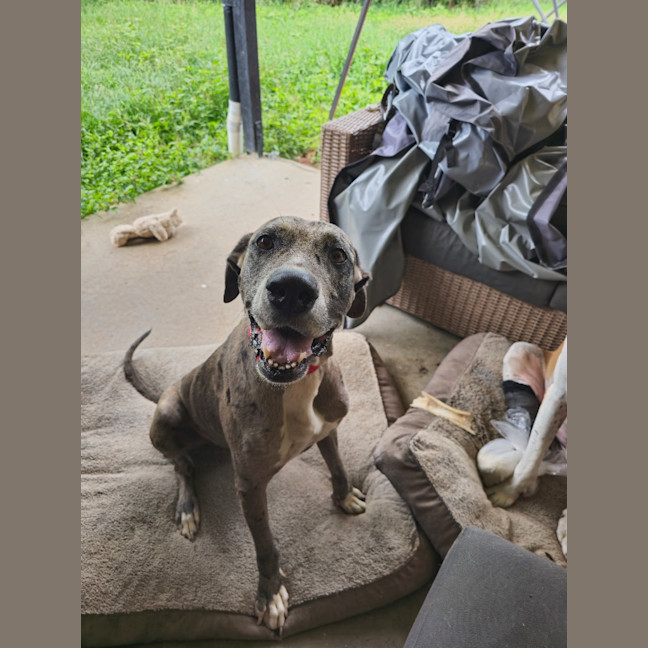 Photo of Jada