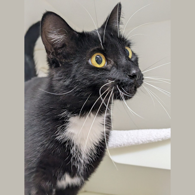 Photo of 🥐 Jacques 6758 🥐