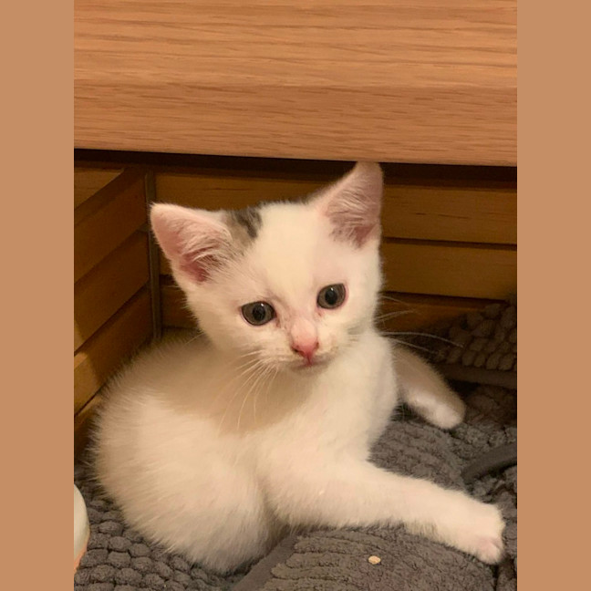 Photo of Brindabella