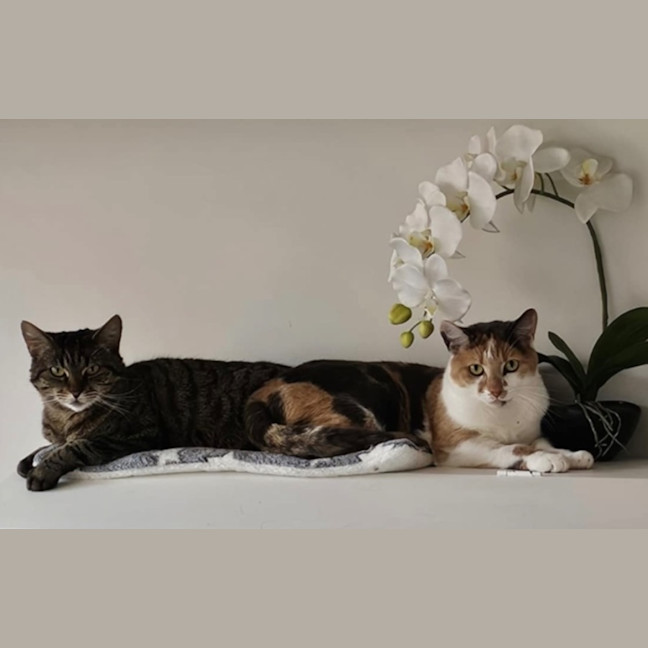 Photo of Annie And Lola