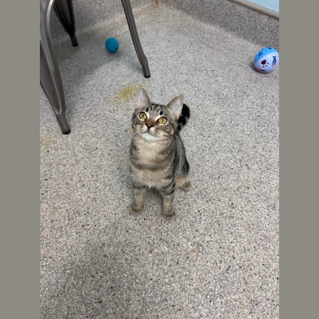 Photo of Thelma & Louise