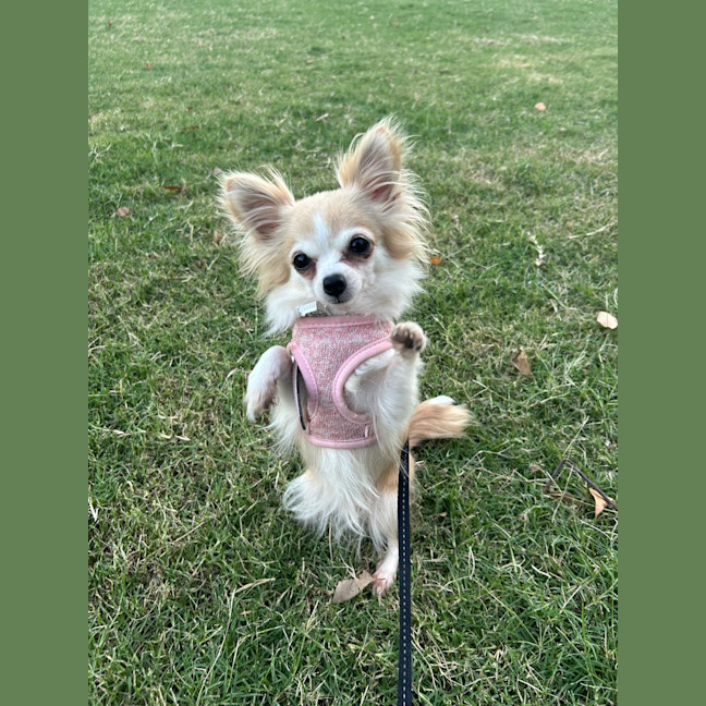Photo of Sofie 