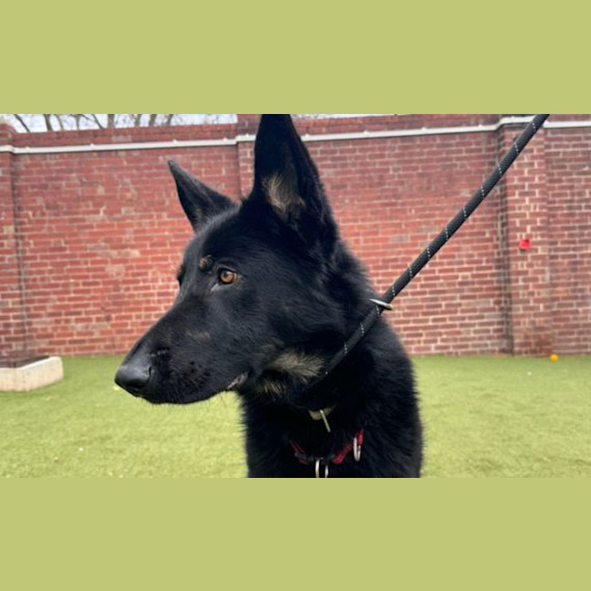Photo of Taco