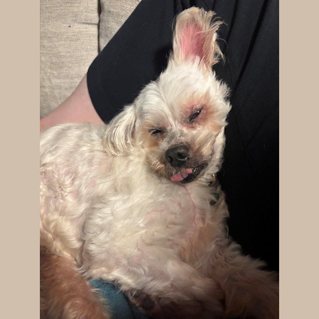 Photo of Wally And Ollie Peggotty