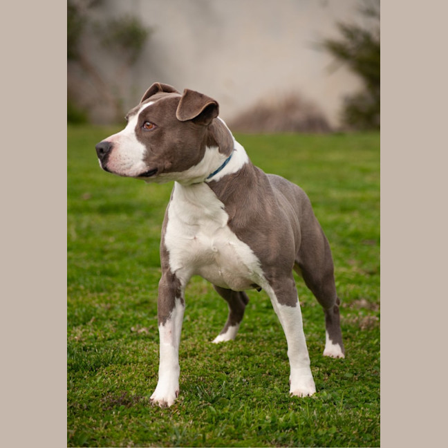 Photo of Zena