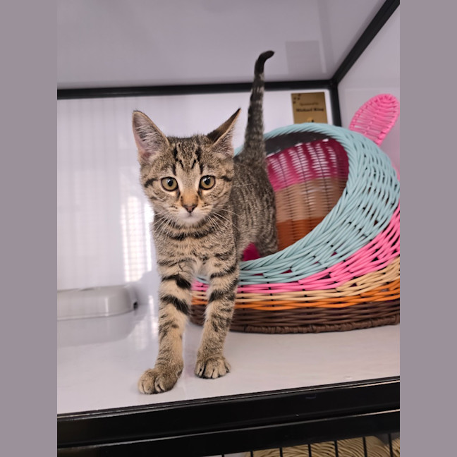 Photo of Aspen   Burnie