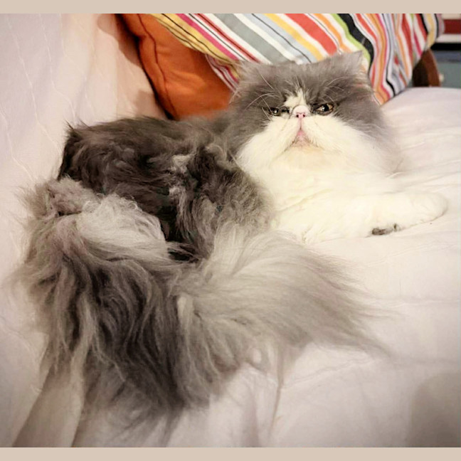 Photo of 😶‍🌫️cloud😶‍🌫️