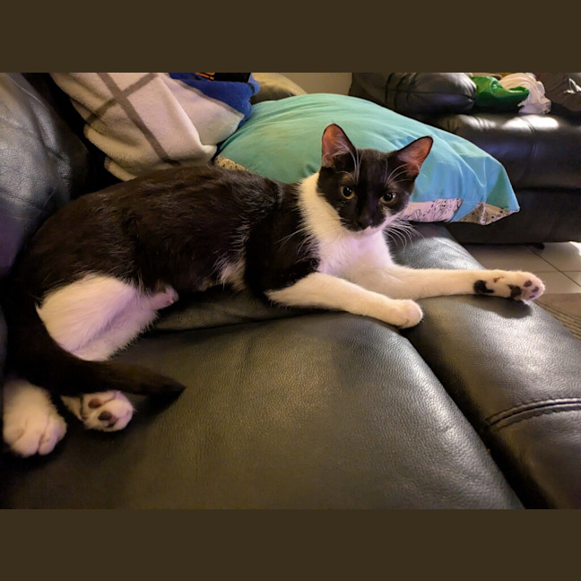 Photo of Mo