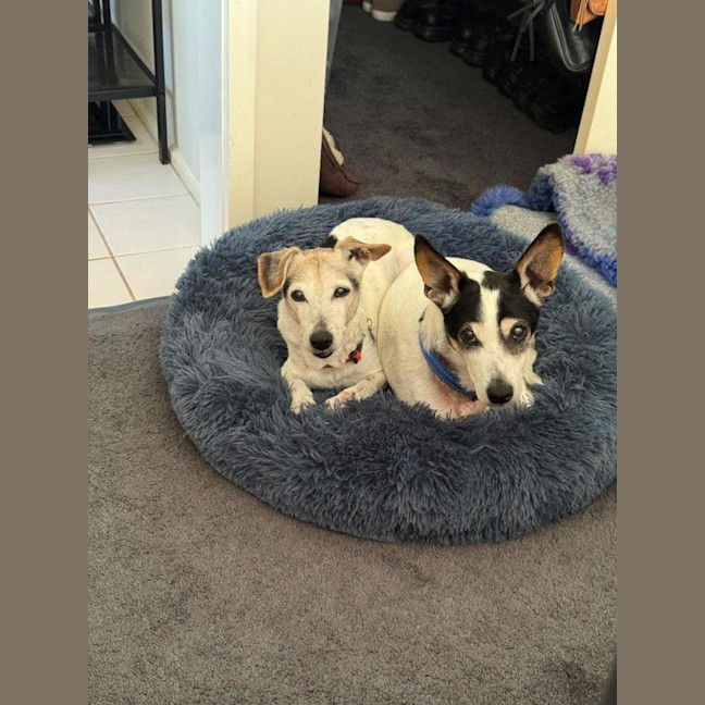 Photo of Ruby And Vincent Silvanus