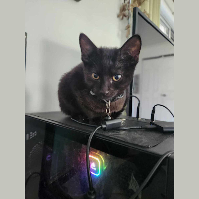 Photo of Poe