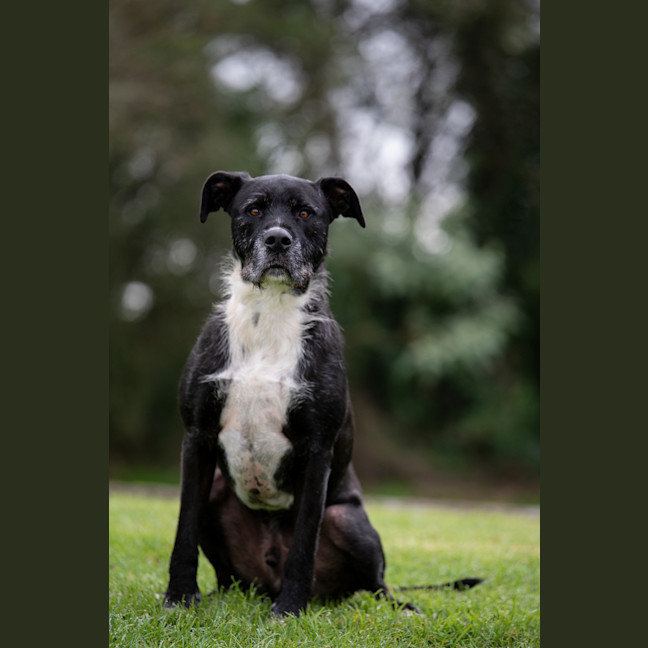 Photo of Snoop