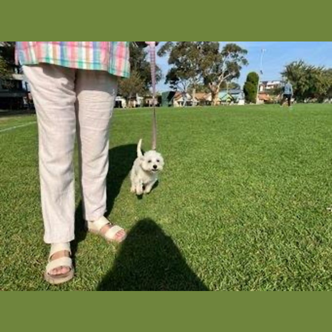 Photo of Lily Peggotty