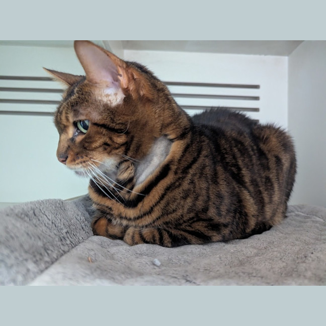 Photo of Mishy