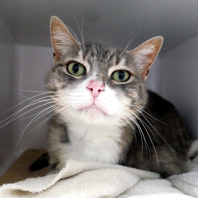 Photo of Castiel Sua014500