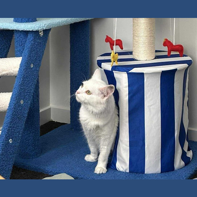 Photo of Yuki