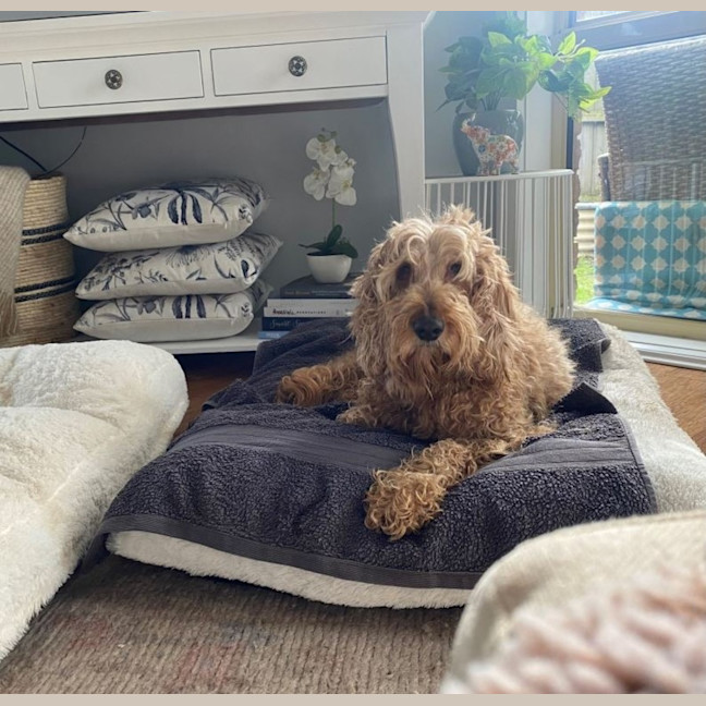 Photo of Shari Jablonski