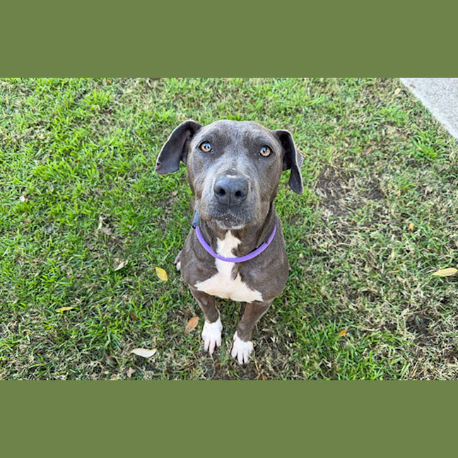 Photo of Rosie
