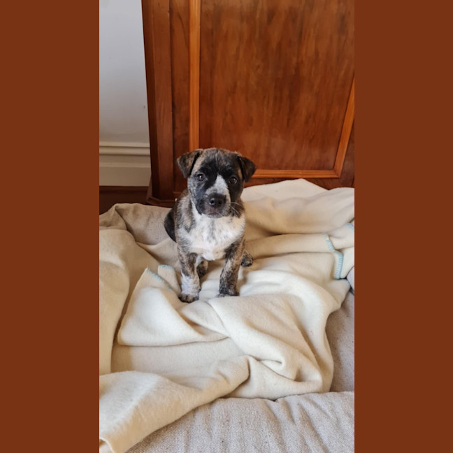 Photo of Bobby