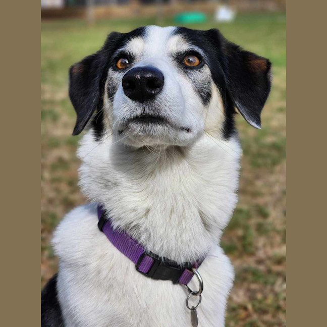 Photo of 🦋 Coco 6047 🦋