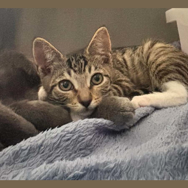 Photo of Taylor (Tay Tay)