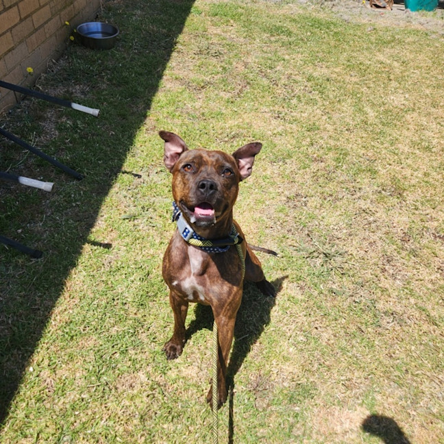 Photo of Freja (68009)