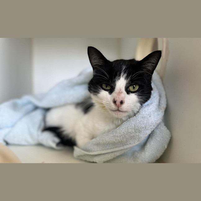 Photo of Wilbur