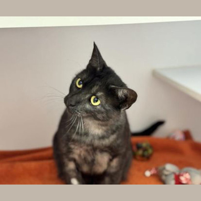 Photo of Feyre