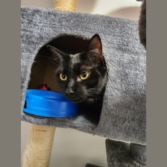 Photo of Luna And Max