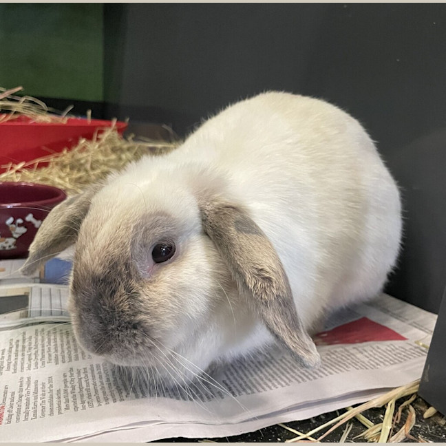 Photo of Wednesday