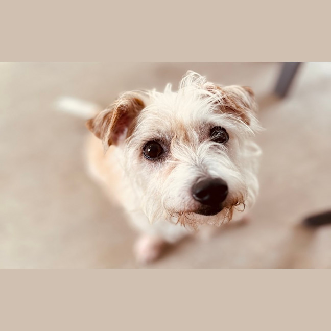 Photo of Walter And Abby