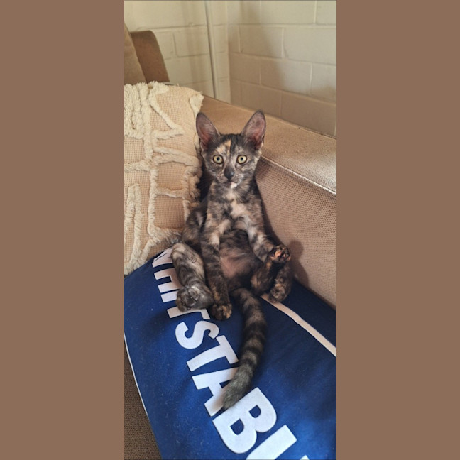 Photo of Betty